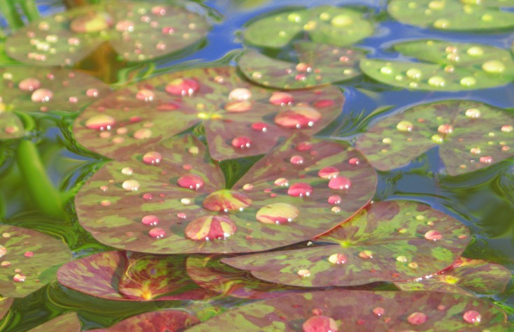 featured image