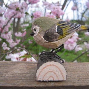 DecoBird Regolo