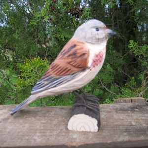 DecoBird Fanello